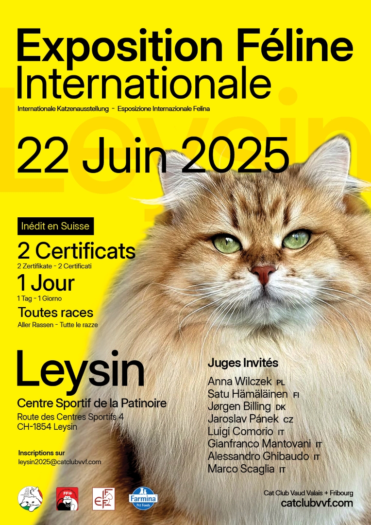 Flyer Leysin 2025 recto